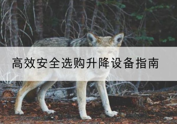 榆林升降货梯厂家推荐-*安全选购升降设备指南