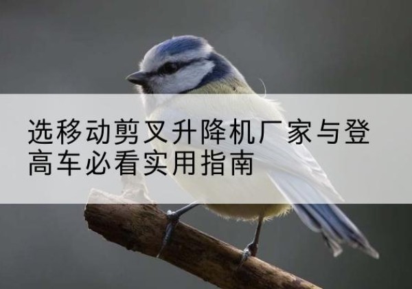 榆林电动升降机厂家-选移动剪叉升降机厂家与登高车必看实用指南
